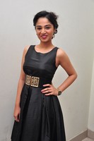 Nikkita Anil Photos